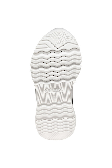 SNEAKER GEOX LOFTUS BOY